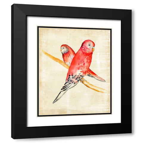 Fanciful Birds I Black Modern Wood Framed Art Print with Double Matting by Zarris, Chariklia