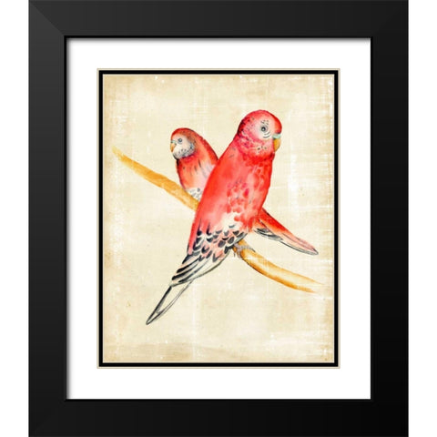 Fanciful Birds I Black Modern Wood Framed Art Print with Double Matting by Zarris, Chariklia