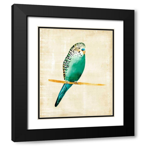 Fanciful Birds II Black Modern Wood Framed Art Print with Double Matting by Zarris, Chariklia