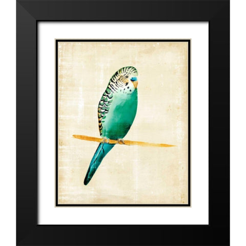 Fanciful Birds II Black Modern Wood Framed Art Print with Double Matting by Zarris, Chariklia