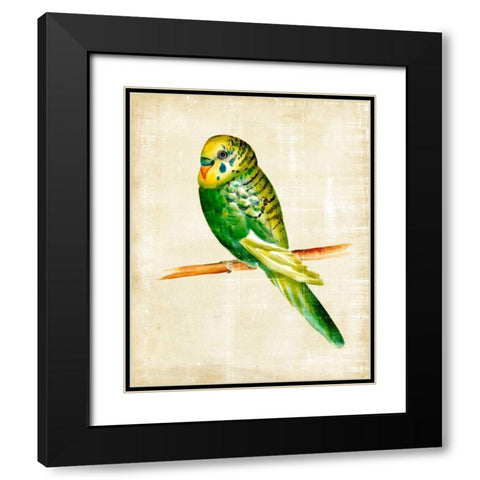 Fanciful Birds III Black Modern Wood Framed Art Print with Double Matting by Zarris, Chariklia