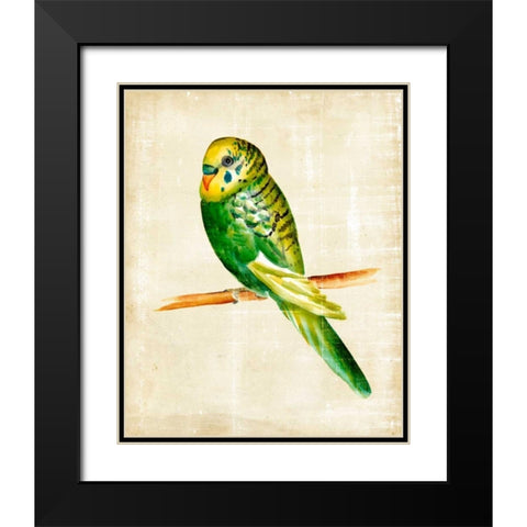 Fanciful Birds III Black Modern Wood Framed Art Print with Double Matting by Zarris, Chariklia