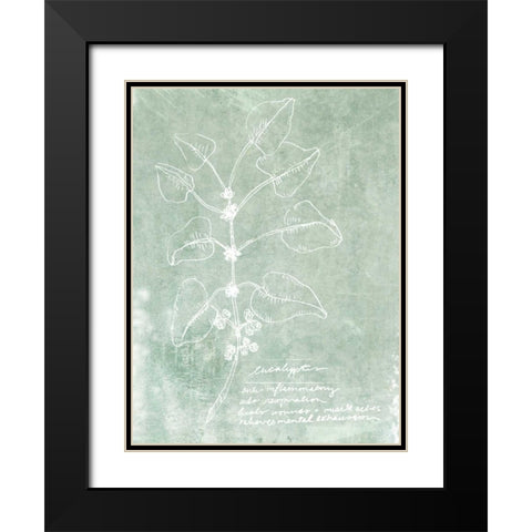 Essential Botanicals I Black Modern Wood Framed Art Print with Double Matting by Fagalde, Jarman