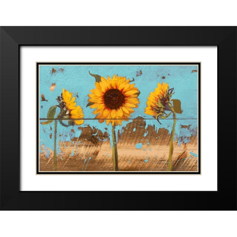 Sunflowers on Wood IV Black Modern Wood Framed Art Print with Double Matting by Iafrate, Sandra