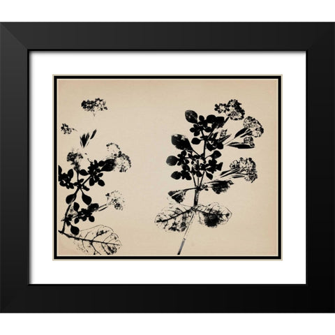 Beauty of a Friend I Black Modern Wood Framed Art Print with Double Matting by Jorgensen, Jennifer