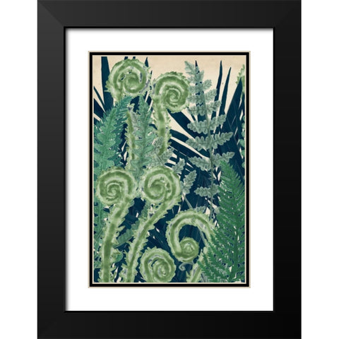 Fiddlehead Waltz I Black Modern Wood Framed Art Print with Double Matting by McCavitt, Naomi