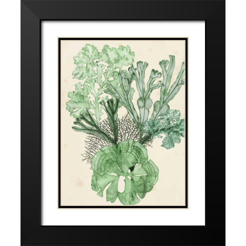 Seaweed Composition I Black Modern Wood Framed Art Print with Double Matting by McCavitt, Naomi