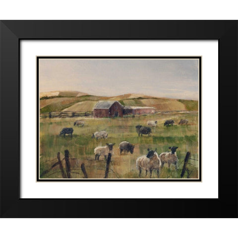 Grazing Sheep II Black Modern Wood Framed Art Print with Double Matting by Harper, Ethan