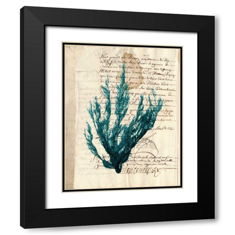 Vintage Teal Seaweed II Black Modern Wood Framed Art Print with Double Matting by Vision Studio