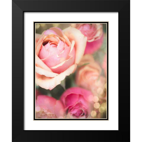Rosie Pink II Black Modern Wood Framed Art Print with Double Matting by Quintero, Sonja