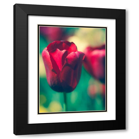 Tulip Sway I Black Modern Wood Framed Art Print with Double Matting by Quintero, Sonja