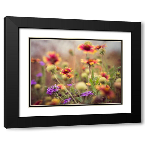 Wild Blooms I Black Modern Wood Framed Art Print with Double Matting by Quintero, Sonja