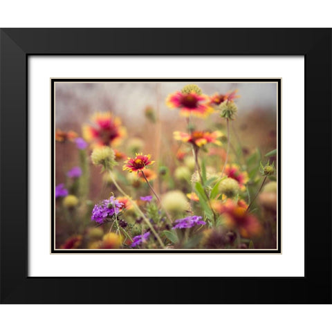 Wild Blooms I Black Modern Wood Framed Art Print with Double Matting by Quintero, Sonja