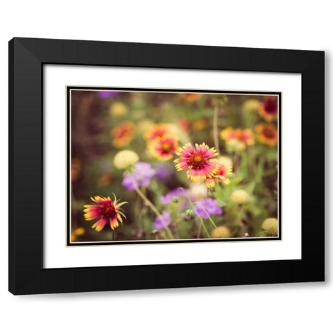 Wild Blooms III Black Modern Wood Framed Art Print with Double Matting by Quintero, Sonja