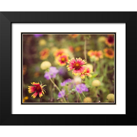 Wild Blooms III Black Modern Wood Framed Art Print with Double Matting by Quintero, Sonja