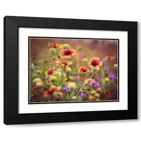 Wild Blooms IV Black Modern Wood Framed Art Print with Double Matting by Quintero, Sonja