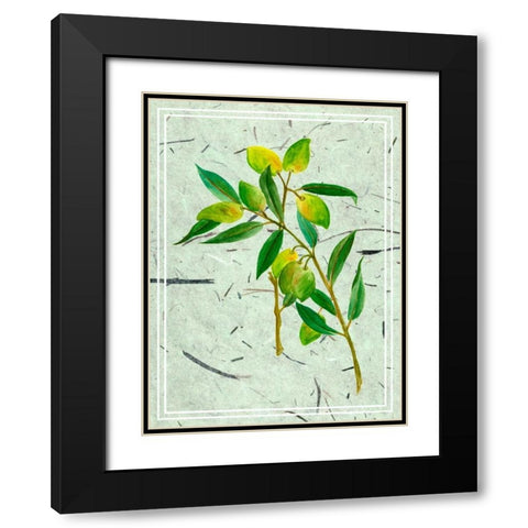 Olives on Textured Paper I Black Modern Wood Framed Art Print with Double Matting by Wang, Melissa