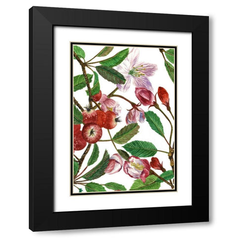 Malus Melliana I Black Modern Wood Framed Art Print with Double Matting by Wang, Melissa