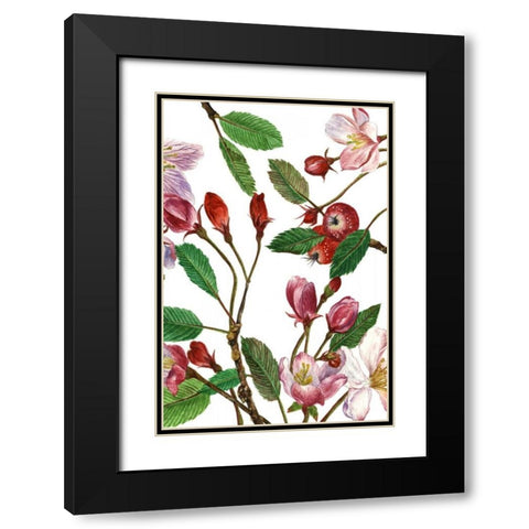 Malus Melliana II Black Modern Wood Framed Art Print with Double Matting by Wang, Melissa