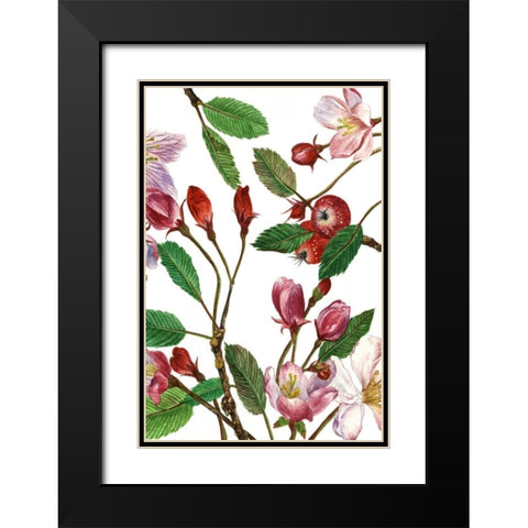 Malus Melliana II Black Modern Wood Framed Art Print with Double Matting by Wang, Melissa