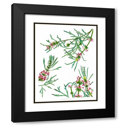 Asian Flower Array II Black Modern Wood Framed Art Print with Double Matting by Wang, Melissa