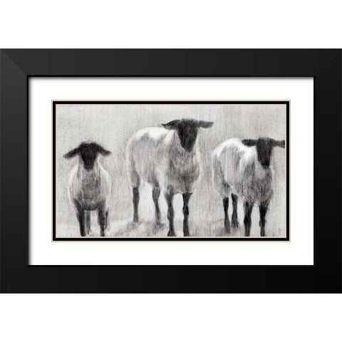 Rustic Sheep II Black Modern Wood Framed Art Print with Double Matting by Harper, Ethan