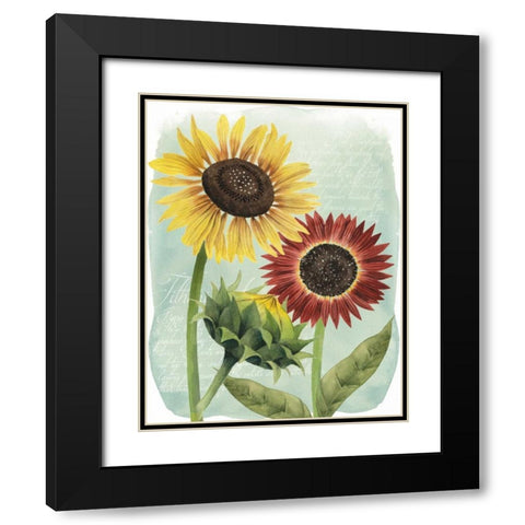 Sunflower Study II Black Modern Wood Framed Art Print with Double Matting by Popp, Grace