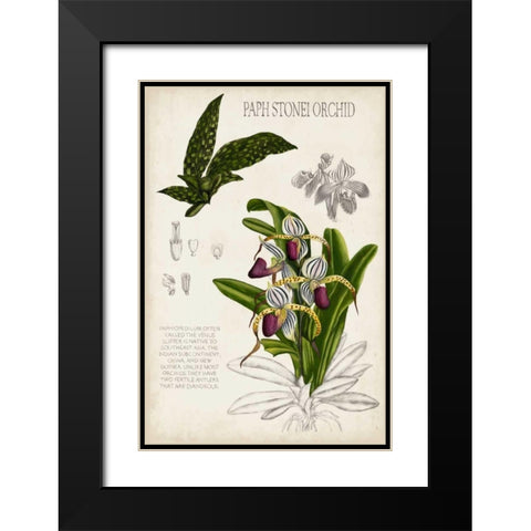 Orchid Field Notes I Black Modern Wood Framed Art Print with Double Matting by McCavitt, Naomi