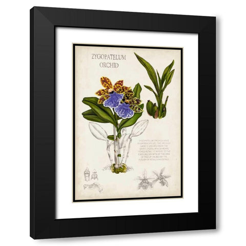 Orchid Field Notes II Black Modern Wood Framed Art Print with Double Matting by McCavitt, Naomi