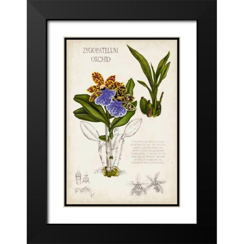 Orchid Field Notes II Black Modern Wood Framed Art Print with Double Matting by McCavitt, Naomi