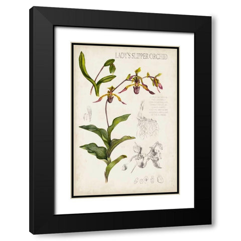 Orchid Field Notes III Black Modern Wood Framed Art Print with Double Matting by McCavitt, Naomi