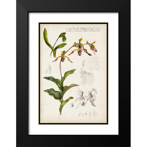 Orchid Field Notes III Black Modern Wood Framed Art Print with Double Matting by McCavitt, Naomi