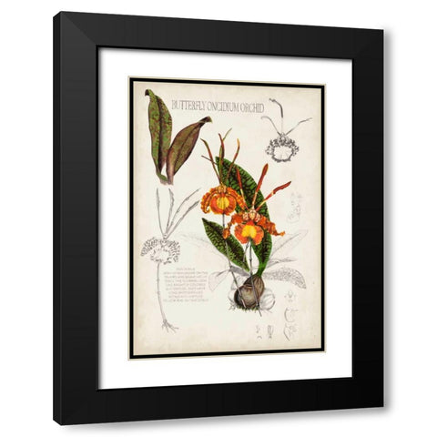 Orchid Field Notes IV Black Modern Wood Framed Art Print with Double Matting by McCavitt, Naomi