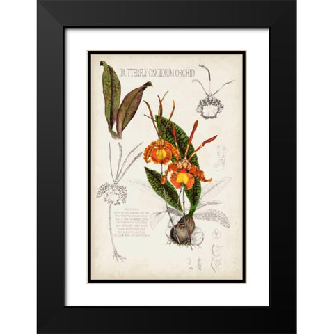 Orchid Field Notes IV Black Modern Wood Framed Art Print with Double Matting by McCavitt, Naomi
