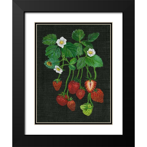 Strawberry Fields II Black Modern Wood Framed Art Print with Double Matting by Wang, Melissa
