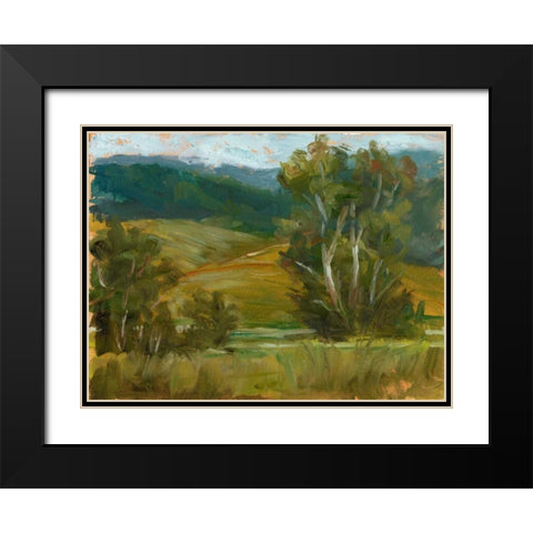 Changing Sunlight IV Black Modern Wood Framed Art Print with Double Matting by Harper, Ethan