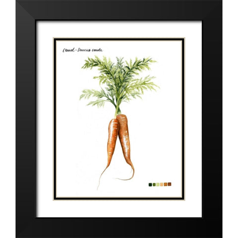 Root Vegetable III Black Modern Wood Framed Art Print with Double Matting by Popp, Grace