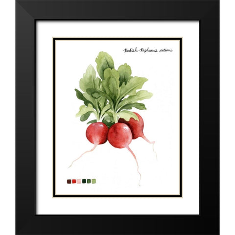 Root Vegetable IV Black Modern Wood Framed Art Print with Double Matting by Popp, Grace