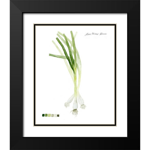 Root Vegetable V Black Modern Wood Framed Art Print with Double Matting by Popp, Grace