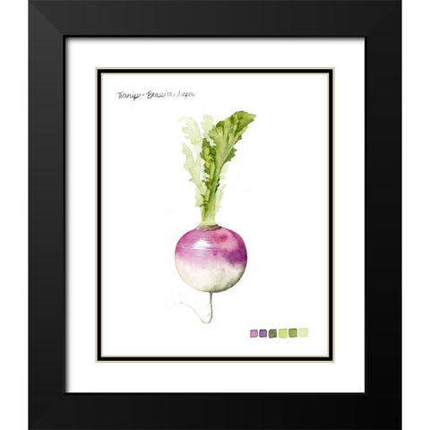 Root Vegetable VI Black Modern Wood Framed Art Print with Double Matting by Popp, Grace