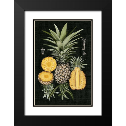 Graphic Pineapple Botanical Study I Black Modern Wood Framed Art Print with Double Matting by McCavitt, Naomi