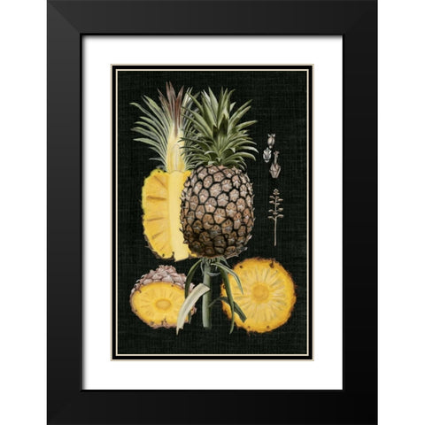Graphic Pineapple Botanical Study II Black Modern Wood Framed Art Print with Double Matting by McCavitt, Naomi