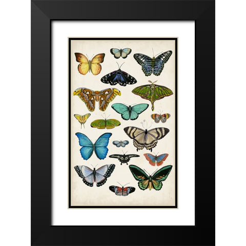 Butterfly Taxonomy I Black Modern Wood Framed Art Print with Double Matting by McCavitt, Naomi