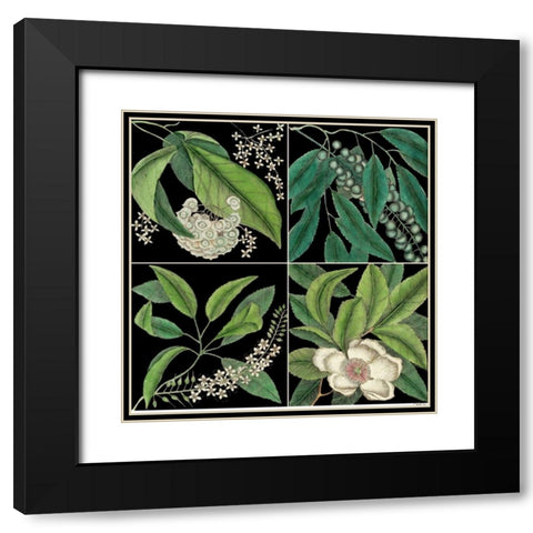 Graphic Botanical Grid I Black Modern Wood Framed Art Print with Double Matting by Catesby, Mark