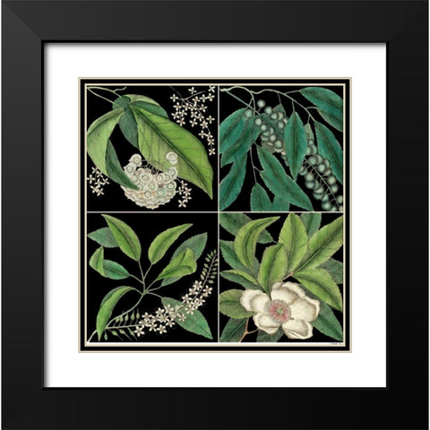 Graphic Botanical Grid I Black Modern Wood Framed Art Print with Double Matting by Catesby, Mark