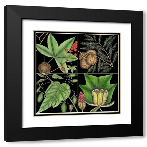 Graphic Botanical Grid III Black Modern Wood Framed Art Print with Double Matting by Catesby, Mark