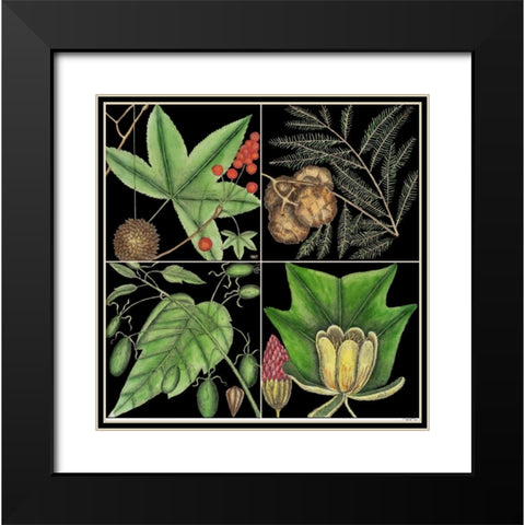 Graphic Botanical Grid III Black Modern Wood Framed Art Print with Double Matting by Catesby, Mark
