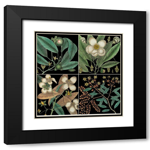 Graphic Botanical Grid V Black Modern Wood Framed Art Print with Double Matting by Catesby, Mark