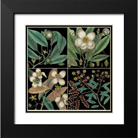 Graphic Botanical Grid V Black Modern Wood Framed Art Print with Double Matting by Catesby, Mark