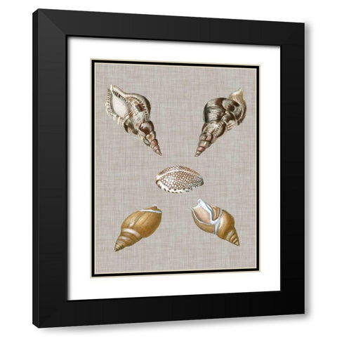 Shells on Linen IV Black Modern Wood Framed Art Print with Double Matting by Vision Studio